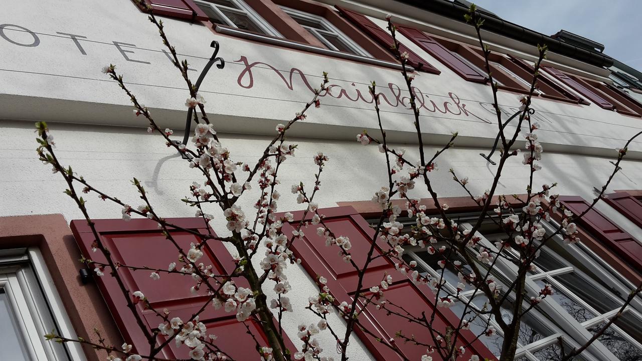 Hotel Mainblick Garni Marktheidenfeld Exterior photo